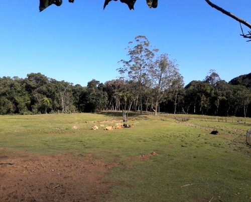Imagem 3 de 22 de Sitio À Venda Em Juquitiba - 307 - 32982833