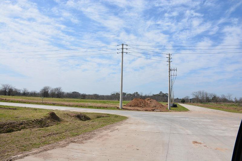 Nave Industrial En Alquiler De 16.000m2 En Parque Industrial Moreno 2 - Pim2