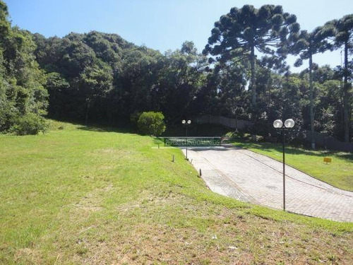 Imagem 5 de 18 de Terreno À Venda, 614 M² Por R$ 720.000,00 - Campo Comprido - Curitiba/pr - Te0194