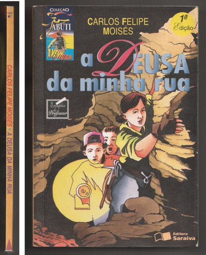 A Deusa Da Minha Rua (Usado)