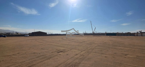 Se Arrienda Terreno En La Negra, 7.500 M². (175240)