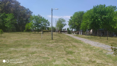 Imagen 6 de 9 de Terrenos En Hermoso Lugar Con Entrada En Comun