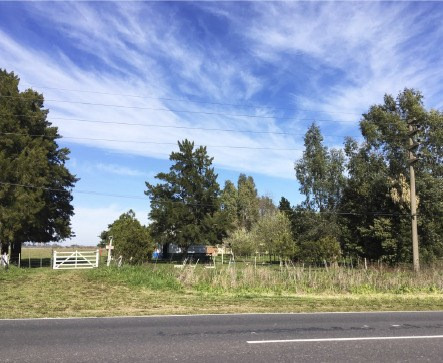 Terreno Campo  En Venta En Magdalena, Resto De La Provincia, Buenos Aires