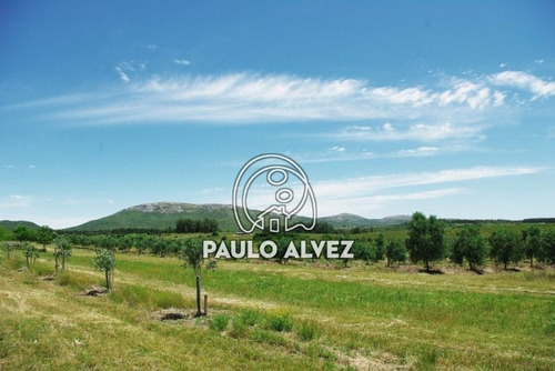 Imagen 21 de 30 de Chacras-venta-cerros-azules-ch070