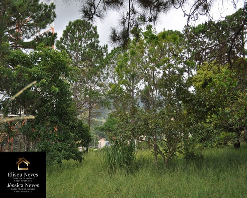 Imagem 8 de 9 de Vendo Terreno No Bairro Alto Do Recanto Em Paty Do Alferes-rj. - Te00055 - 69210081