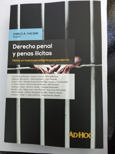 Libro Derecho Penal Y Penas Ilicitas