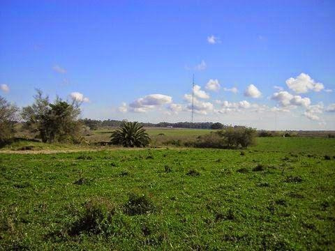 Imagen 4 de 9 de Venta Chacra 30 Has Piedras De Los Indios Colonia Uruguay