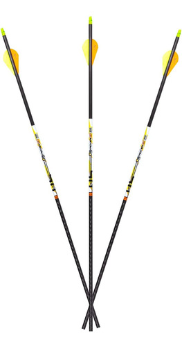 D-stroyer Sd 400 Spine, 6-pack Of Fletched Arrows, Available