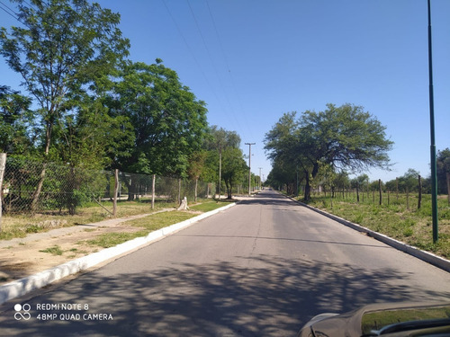 Imagen 8 de 14 de Terrenos En Venta En San Luis