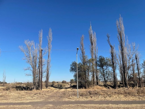 Vendo Finca Bowen Mendoza