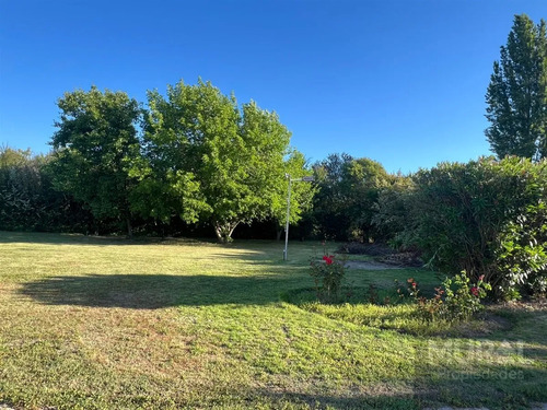 Vendo Casa En Condominio La Primavera, Oportunidad,p.hurtado