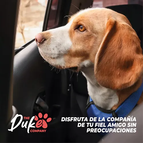 Cubre Asientos De Mascotas Generica Antisuciedad Negro Rosal
