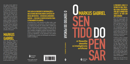 O sentido do pensar: A filosofia desafia a inteligência artificial, de Gabriel, Markus. Editorial Editora Vozes Ltda., capa mole em português, 2021