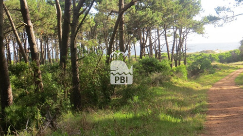 Imagen 1 de 4 de Terreno En Ocean Park - Ref : Pbi3015 - Punta Ballena Ocean Park