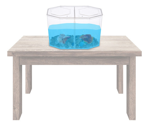 Imagen 3 de 7 de Pequeño Tanque De Peces Acuario Betta Box Criador Casa