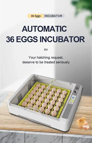 Incubadora Huevos 36 Hhd Cont Automatico Temperatura Volteo