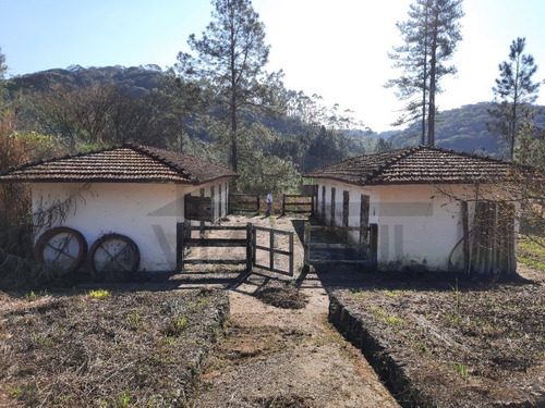 Imagem 22 de 30 de (100 Alqueires) Exuberante Fazenda De Alto Padrão, Com Vista Para Represa, Cachoeira Na Divisa, Cercada Por Mata Nativa E Infraestrutura Completa!!! - 01 - 70257064
