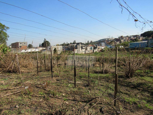 Imagem 7 de 26 de Terreno À Venda, 14900 M² Por R$ 9.000.000,00 - Jardim São João (zona Norte) - São Paulo/sp - Te0138