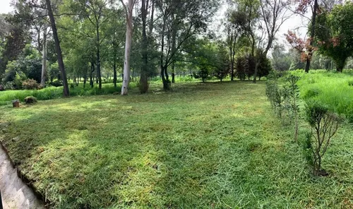 Casa En Lomas De Virreyes 270m2 Con Acceso Al Bosque Chapultepec Calle Privada
