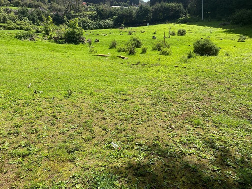 Imagen 1 de 5 de Gran Terreno En Paraje Mechinanco, Huitzilac, Morelos.
