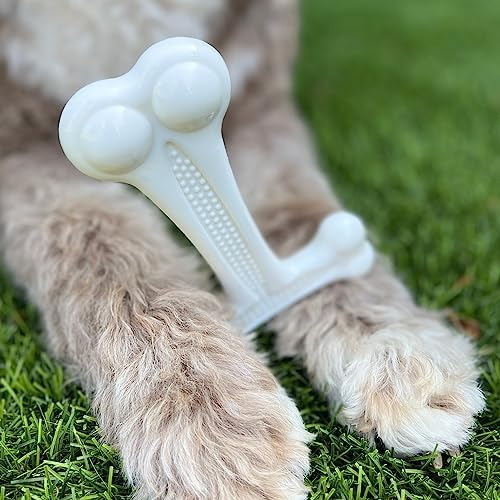 Simpledog Doggie Dooley T-bone Juguete Masticable Para Perro