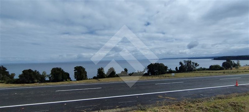 Sitio - 5.000 M2 Cada Uno - Cascadas - Puerto Octay