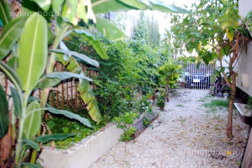 Casa 5 Amb Con Jardin Y Pileta - Martinez