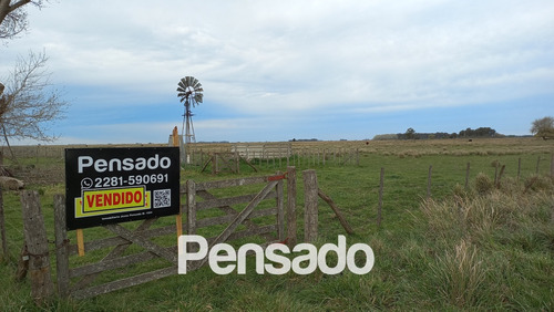 En Venta Chacra En Tapalque. Vendida