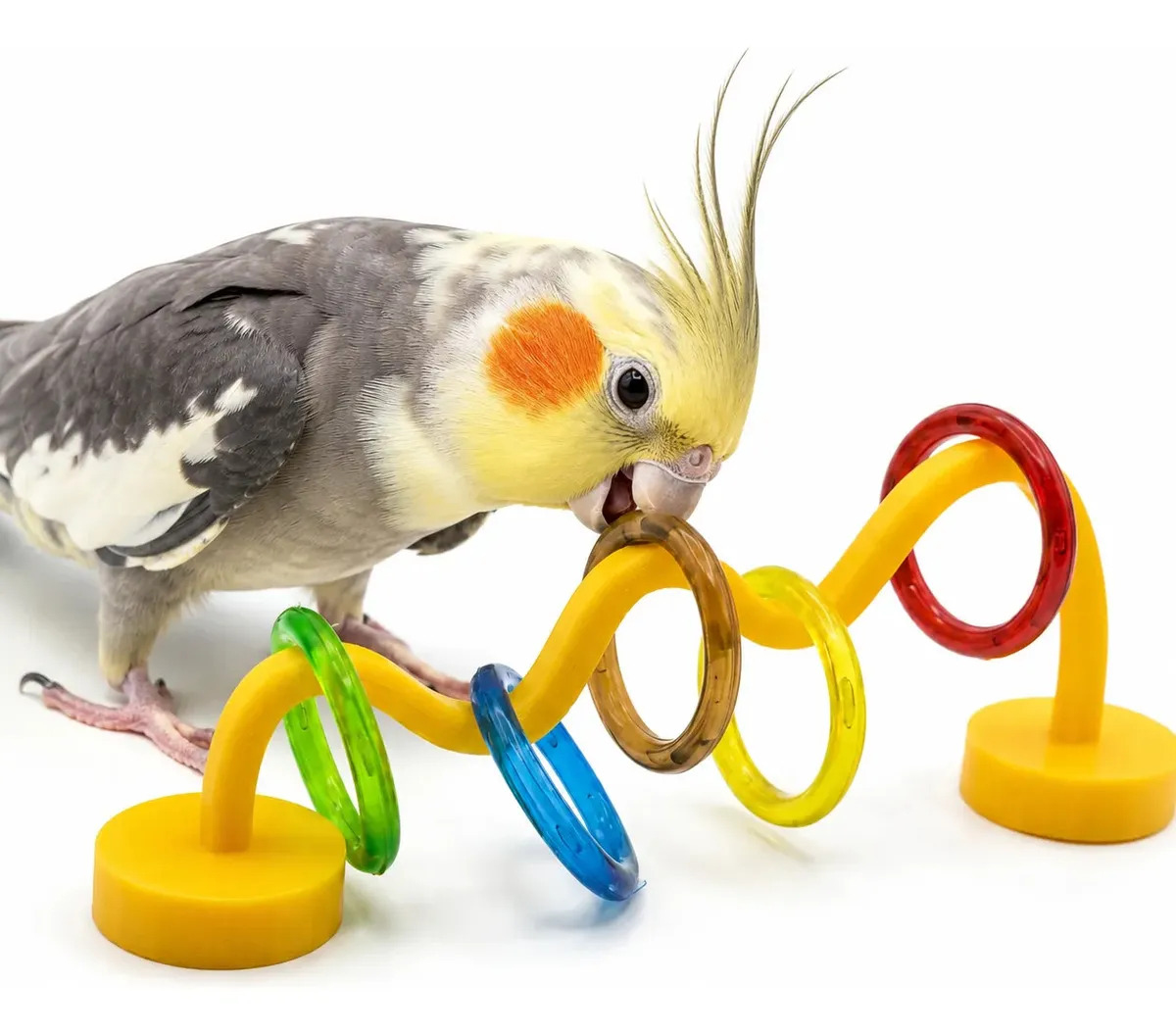 Brinquedo Para Ave Avuk Pet Passa Argola Recomendado Para Calopsita, Periquito - Cor Sortido