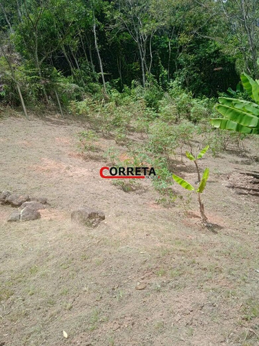 Imagem 14 de 15 de Vendo Chacara Parcelada Entre Ibiúna E Piedade-sp - 523