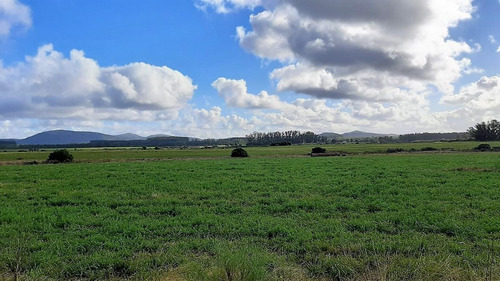 Imagen 6 de 11 de Chacra De 6 Hectáreas Muy Cerca De Ruta 9
