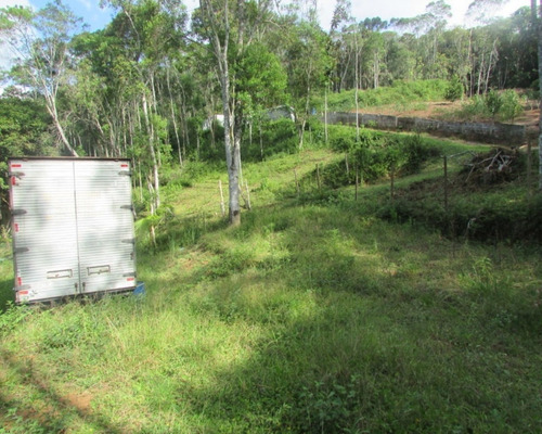 Imagem 15 de 21 de Terreno - 04611 - 33229241