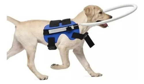 Para Anillo Anticolisión 2024 Para Perros Ciegos, Anillo De