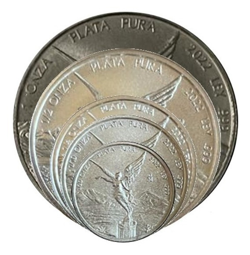 Familia De Onza Libertad Plata 2022, Ley .999 1/20 A 1 Oz