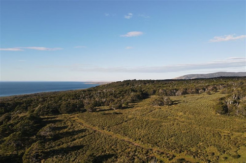 Imagen 4 de 15 de Agrícola En Venta En Punta Arenas