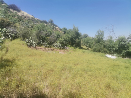 Se Vende Terreno De 5000 M2 , Santa Sofia De Lo Cañas, La F