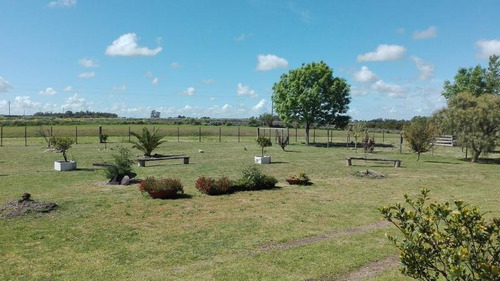 Excelente Campo En Canelones Sobre Ruta 5, 150 Has Agricolas.