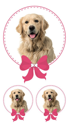 Golden Retriever Sticker 3 Pza Niña Impresion Alta Calidad