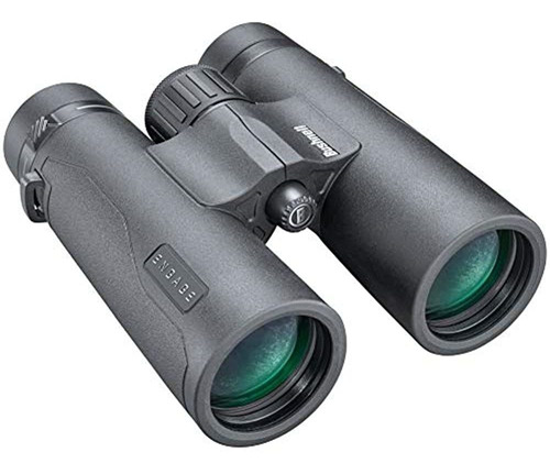 Bushnell Enganche X Binoculares 10x42_benx1042