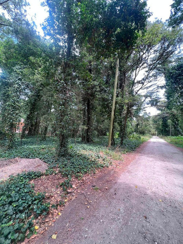 Imagen 8 de 11 de Vendo Lote 750 Mts Bosque P. Ramos Parquizado U$s 55.000.-