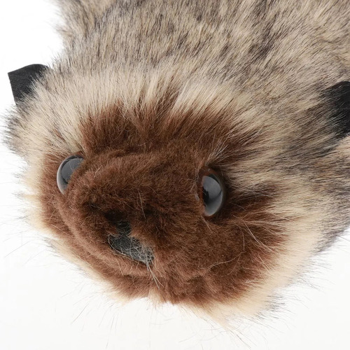 Juguetes Novedosos Spring Raccoon Magic Toys, 2 Unidades