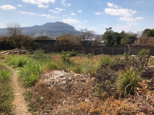Imagen 2 de 5 de Terreno Comercial En Renta Fracc Municipal Los Laguitos
