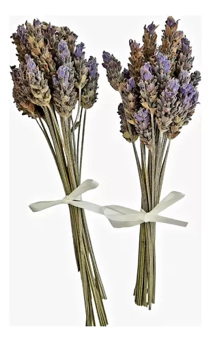 Lavanda SECA natural Flores naturales SECAS altura 40-50 cms VNT