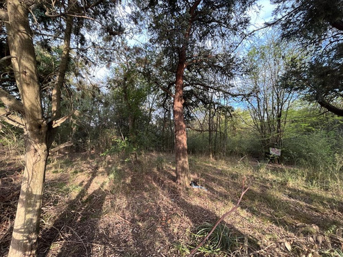 Lote: B° Lanusse