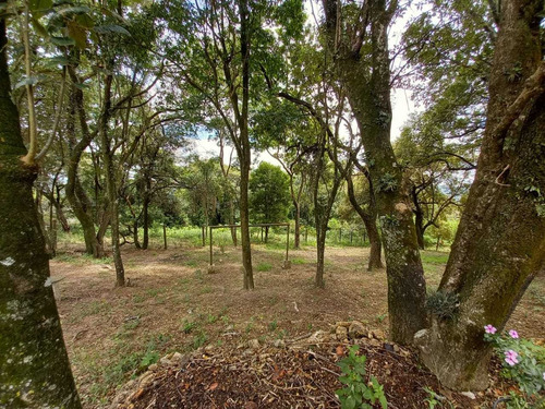 4.000 M², Casa Com 03 Dormitórios, 01 Suíte, E Churrasqueira