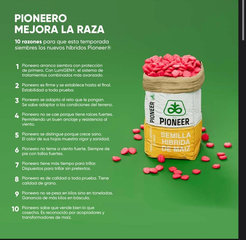 Pioneer P3260w Corteva Semilla Hibrida Maiz