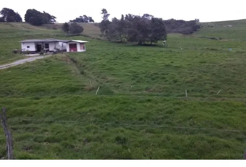 Lote En Venta En Yarumal