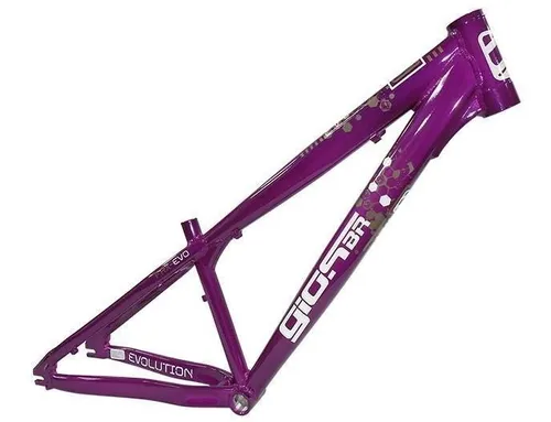 Quadro Giosbr 26 Frx Evo 2023 Roxo Branco E Tit nio