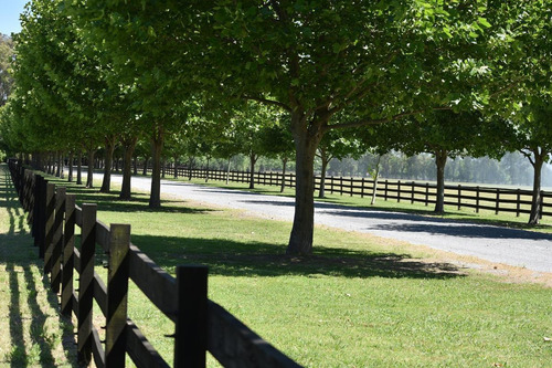 Imagen 17 de 30 de Excelentes Lotes En Technopolo Country Club General Rodriguez
