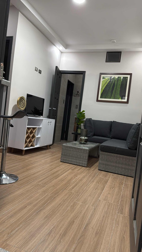 Apartamento En Alquiler Nuevo 1 Habitación Desamparados